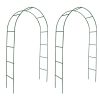 Garden Arch 2 pcs Climbing Plants