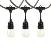 Gardens 12-Count 24FT Rope Lights Edison Bulbs Outdoor String Lights