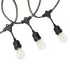 Gardens 12-Count 24FT Rope Lights Edison Bulbs Outdoor String Lights