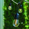 Gardens 12-Count 24FT Rope Lights Edison Bulbs Outdoor String Lights