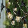 Gardens 12-Count 24FT Rope Lights Edison Bulbs Outdoor String Lights