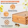 VEVOR Bee Hive, 10-Frame Complete Beehive Kit, 100% Beeswax Natural Wood, Includes 1 Medium Box with 10 Wooden Frames and Waxed Foundations, for Begin