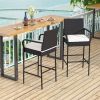 2/4 Pieces Outdoor PE Rattan Cushioned Barstool Set with Armrests